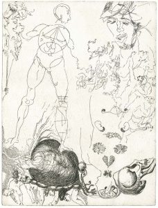Anatomie, männlicher Akt, mit Zeichnungen nach Michelangelo, Proportionsstudien nach Dürer, Radierung, Schädel, weibliche Organe